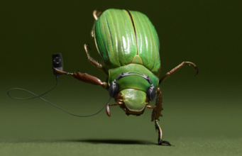 Ce reprezinta AD/HD? Ce este ADHD