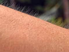 Atacuri de înfiorare – 5 secunde de încordare atacuri de înfiorare