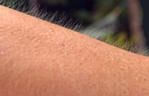 Atacuri de înfiorare atacuri de înfiorare