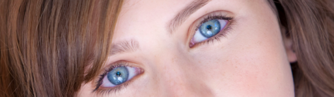 Pavorul nocturn Pavarul nocturn