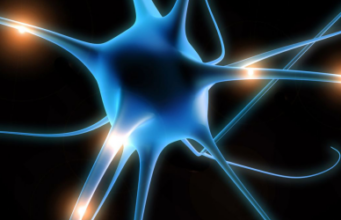 Sfaturi pentru părintele cu copil diagnosticat cu epilepsie Sfaturi pentru părintele cu copil diagnosticat cu epilepsie