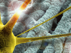 Sfaturi pentru copilul cu epilepsie Sfaturi pentru copilul cu epilepsie