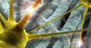 Sfaturi pentru copilul cu epilepsie Sfaturi pentru copilul cu epilepsie