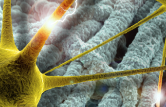 Sfaturi pentru copilul cu epilepsie Sfaturi pentru copilul cu epilepsie