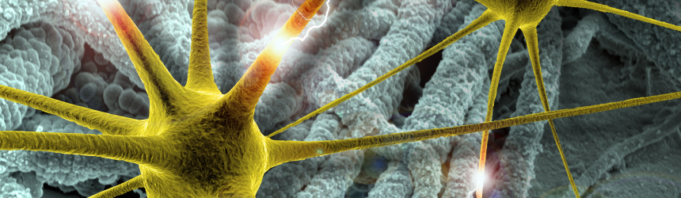 Sfaturi pentru copilul cu epilepsie Sfaturi pentru copilul cu epilepsie