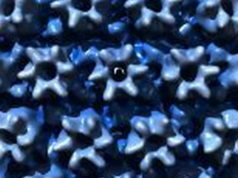 Infecția cu citomegalovirus Infecția cu citomegalovirus