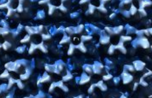 Infecția cu citomegalovirus Infecția cu citomegalovirus