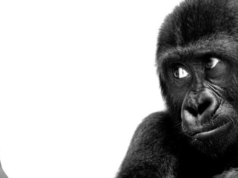 Convulsii hipoglicemice Convulsii hipoglicemice