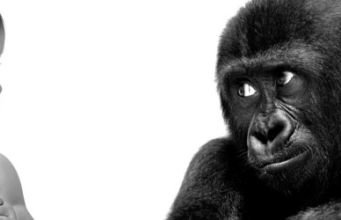 Convulsii hipoglicemice Convulsii hipoglicemice