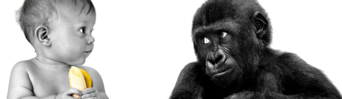 Convulsii hipoglicemice Convulsii hipoglicemice