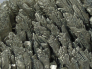 Convulsii hipomagneziemice Convulsii hipomagneziemice