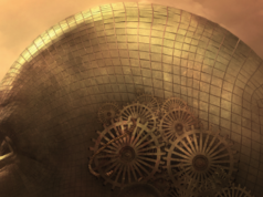 Hidrocefalia copilului (2 – 17 ani) Hidrocefalia copilului