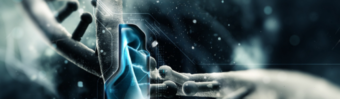 Gena MTHFR gena-MTHFR