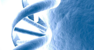 Genetica moleculara a epilepsiei genetica moleculara a epilepsiei