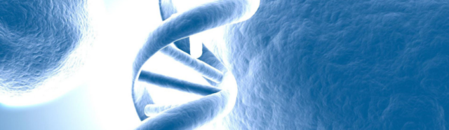 genetica moleculara a epilepsiei