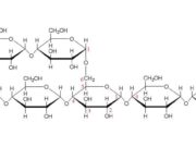 Glicogenoză de tip II glicogen - Boala Pompe