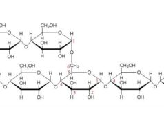 Glicogenoză de tip II glicogen - Boala Pompe