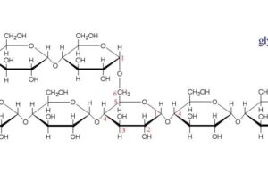 Glicogenoză de tip II glicogen - Boala Pompe