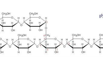 Glicogenoză de tip II glicogen - Boala Pompe