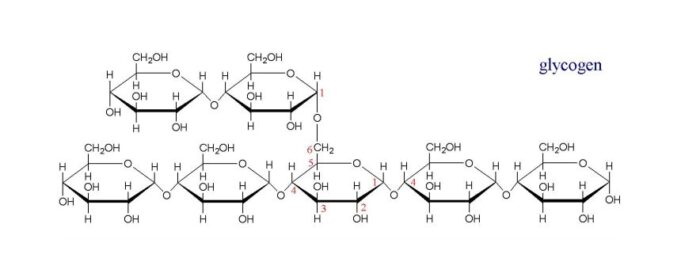 Glicogenoză de tip II glicogen - Boala Pompe