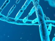 Scurtă introducere în genetică Spirala ADN