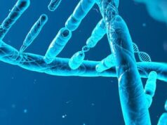 Scurtă introducere în genetică Spirala ADN