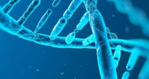 Scurtă introducere în genetică Spirala ADN