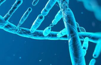 Scurtă introducere în genetică Spirala ADN