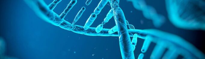 Scurtă introducere în genetică Spirala ADN