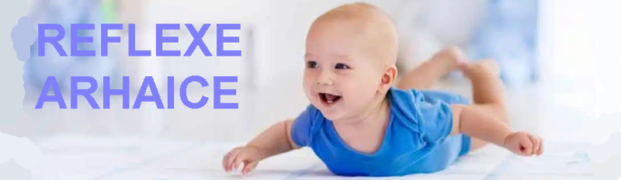 Reflexe arhaice Reflexe arhaice
