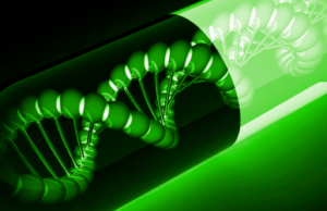 Sindrom West Sindrom West